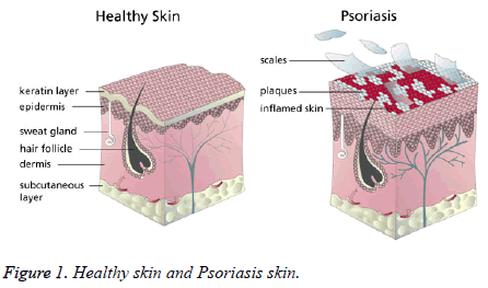 biomedres-Healthy-skin