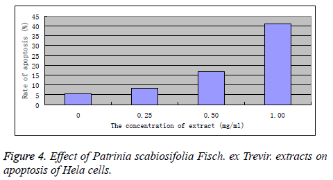 biomedres-Hela-cells