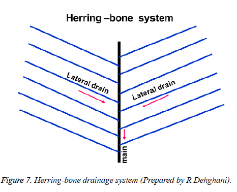 biomedres-Herring-bone