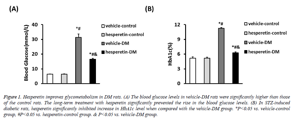 biomedres-Hesperetin-improves