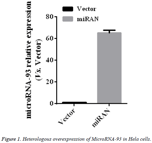 biomedres-Heterologous-overexpression