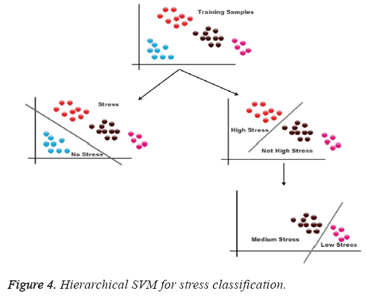 biomedres-Hierarchical-SVM-stress