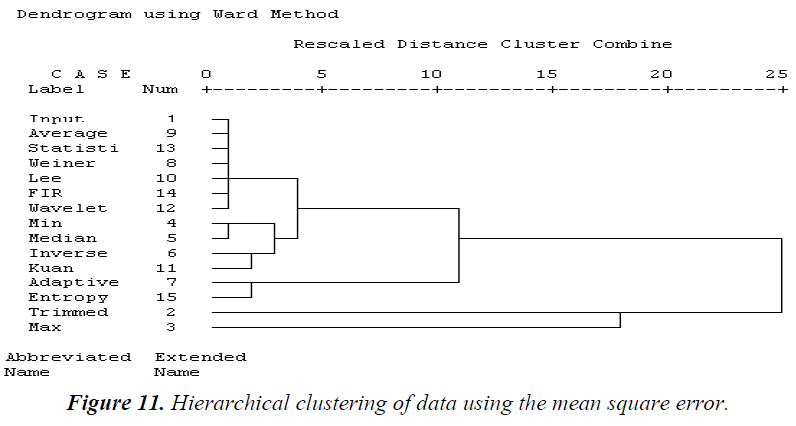 biomedres-Hierarchical-clustering