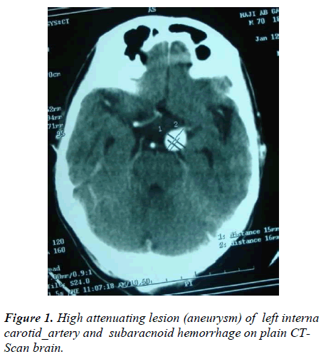 biomedres-High-attenuating-lesion