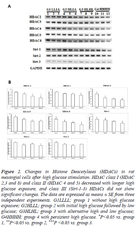 biomedres-Histone-Deacetylases