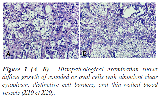 biomedres-Histopathological