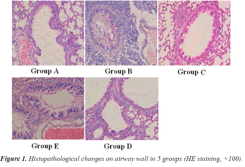 biomedres-Histopathological-changes