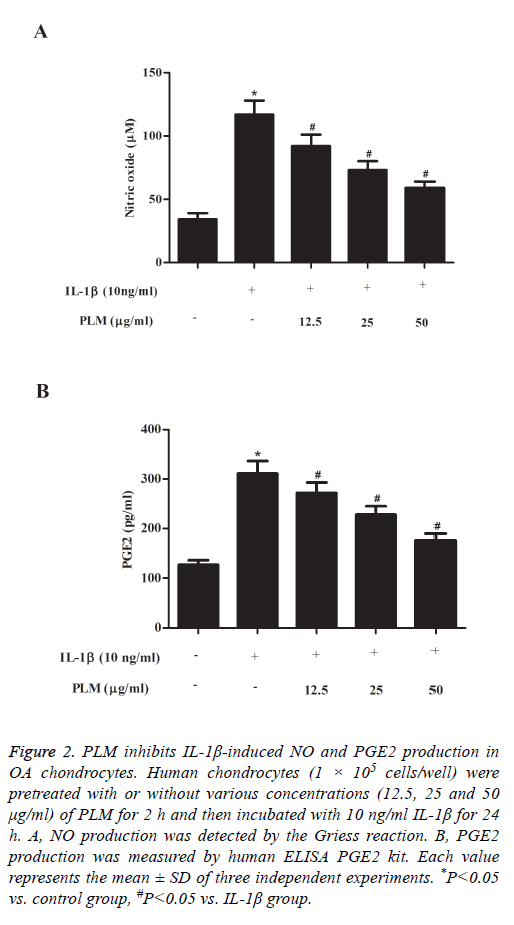 biomedres-Human-chondrocytes