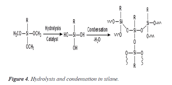 biomedres-Hydrolysis-condensation