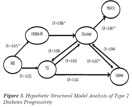 biomedres-Hypothetic-Structural-Model