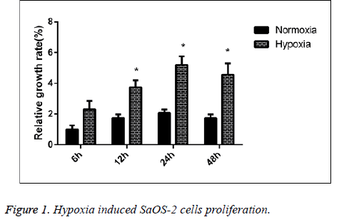 biomedres-Hypoxia-cells