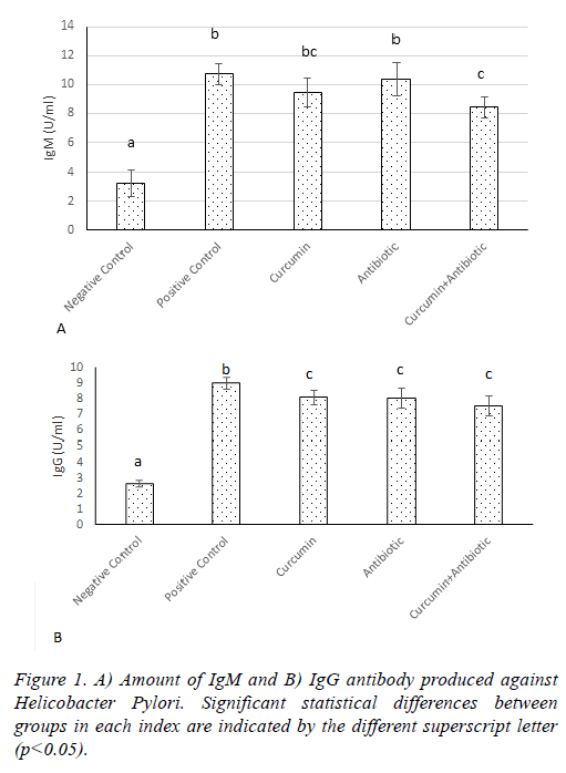 biomedres-IgG-antibody