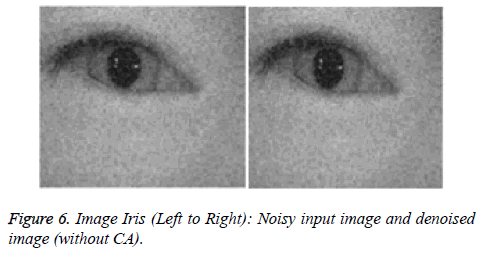 biomedres-Image-Iris