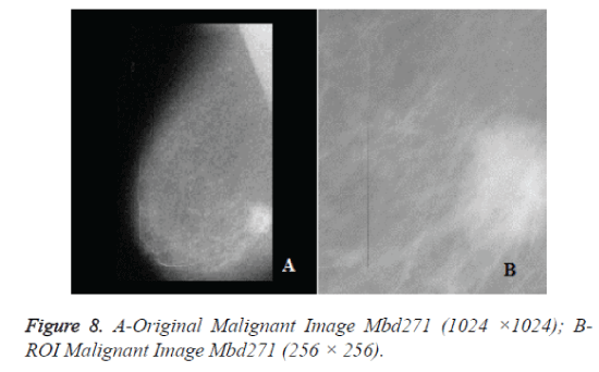 biomedres-Image-Mbd271