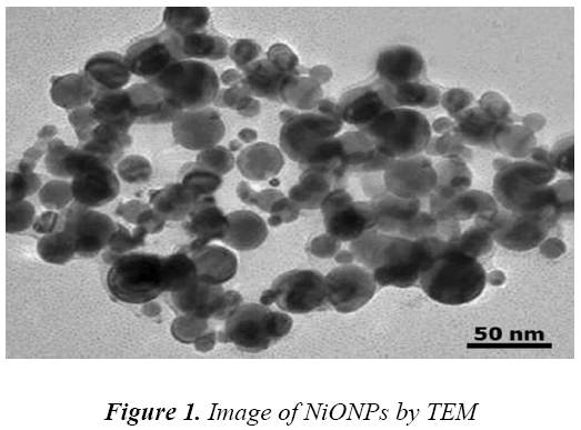 biomedres-Image-NiONPs-TEM