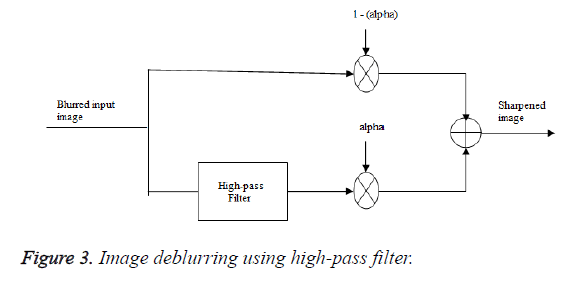 biomedres-Image-deblurring