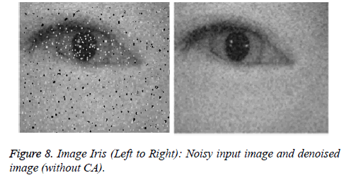 biomedres-Image-input