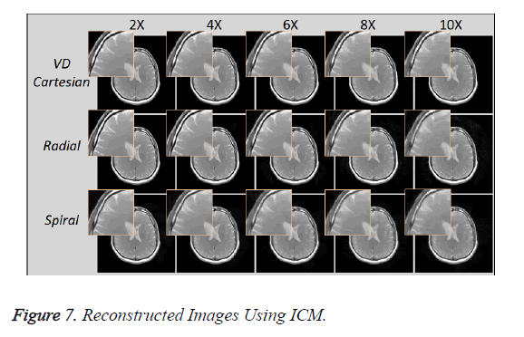 biomedres-Images-Using-ICM