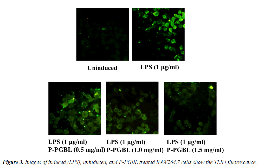 biomedres-Images-induced