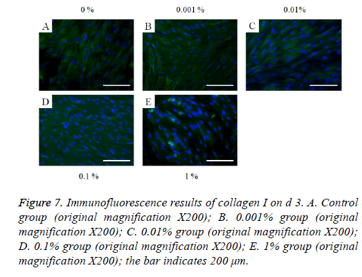 biomedres-Immunofluorescence