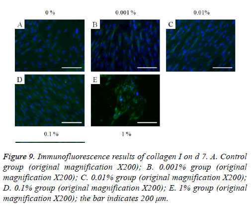 biomedres-Immunofluorescence