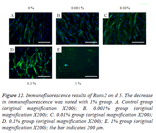 biomedres-Immunofluorescence