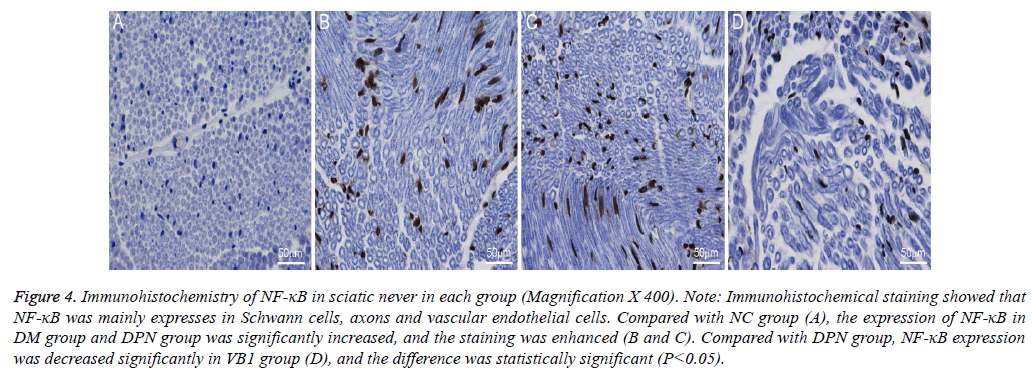 biomedres-Immunohistochemistry