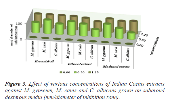 biomedres-Indian-Costus