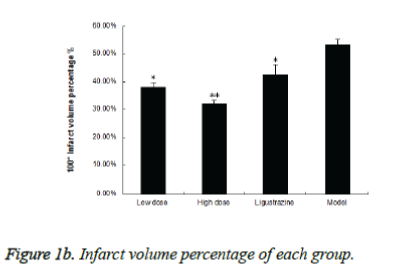 biomedres-Infarct-volume