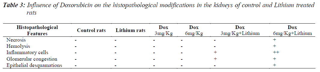 biomedres-Influence-Doxorubicin