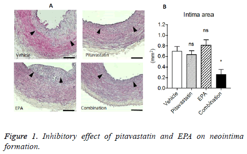 biomedres-Inhibitory-effect