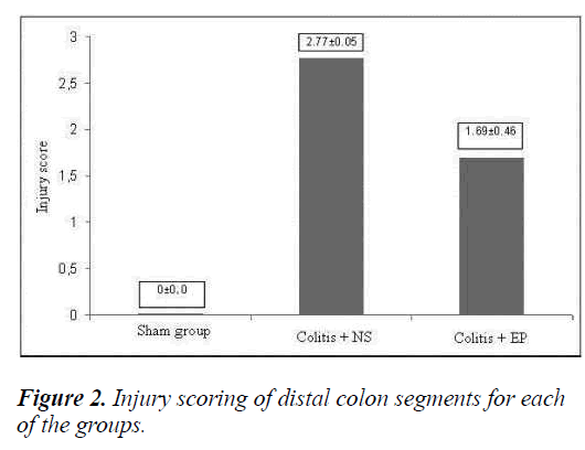 biomedres-Injury-scoring