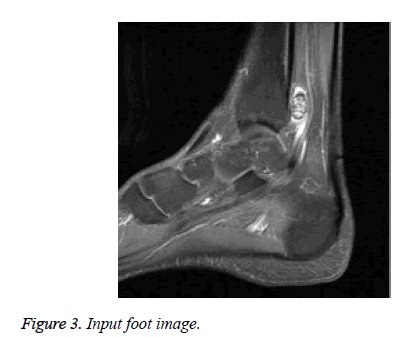 biomedres-Input-foot