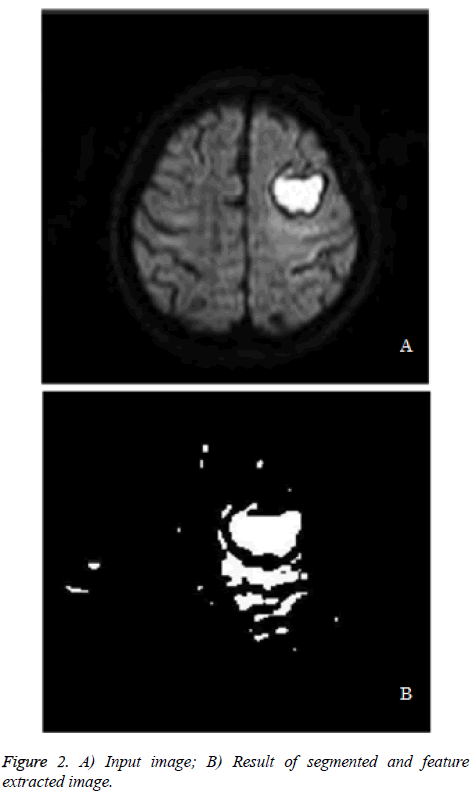 biomedres-Input-image