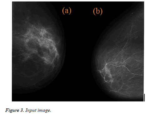 biomedres-Input-image