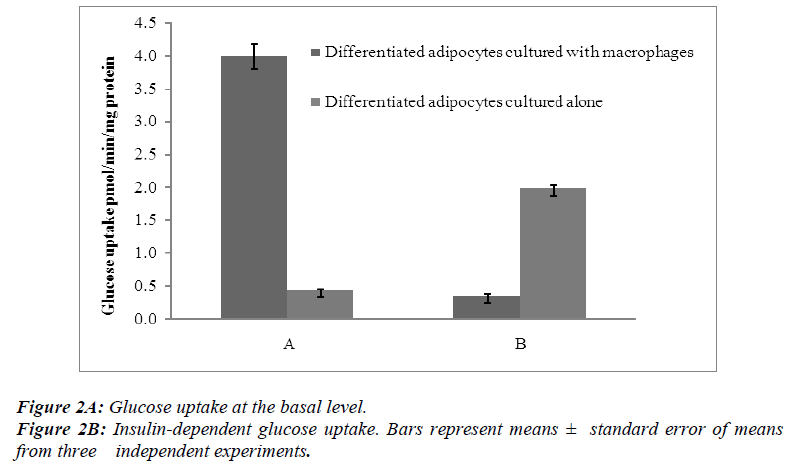 biomedres-Insulin-dependent-glucose