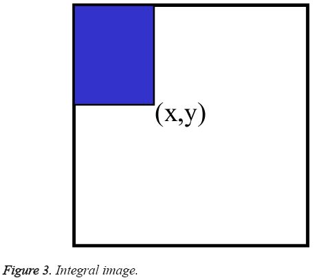 biomedres-Integral-image 