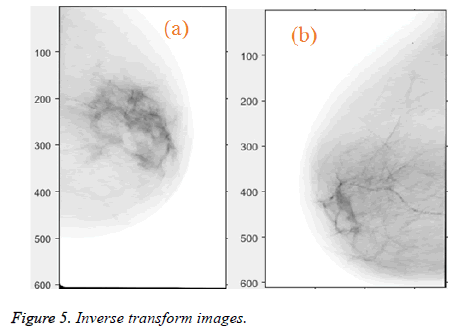 biomedres-Inverse-transform