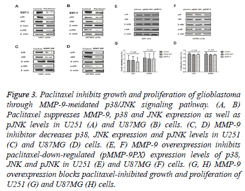 biomedres-JNK-expression