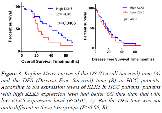 biomedres-Kaplan-Meier-curves