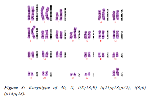 biomedres-Karyotype