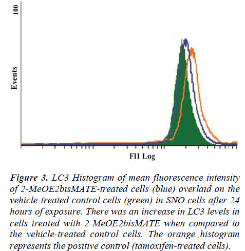 biomedres-LC3-Histogram-mean