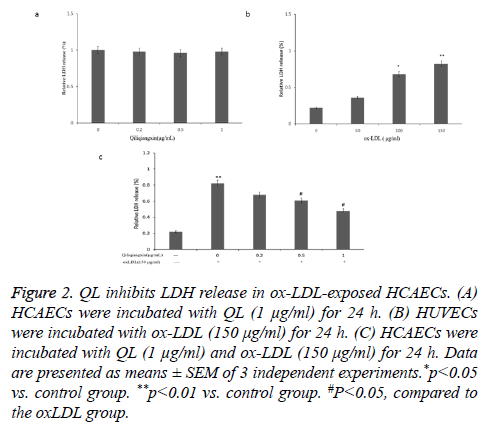 biomedres-LDH-release