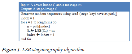 biomedres-LSB-steganography