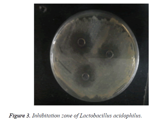 biomedres-Lactobacillus-acidophilus