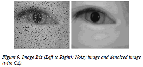 biomedres-Left-input