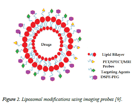 biomedres-Liposomal