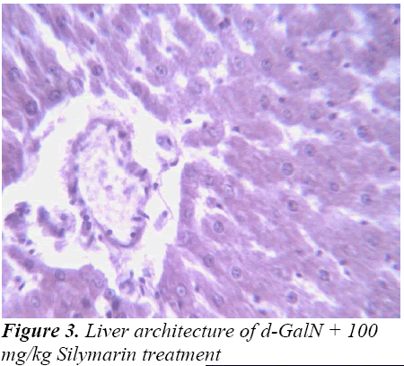 biomedres-Liver-Silymar-intreatment