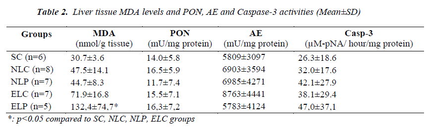 biomedres-Liver-tissue