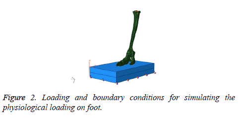 biomedres-Loading-boundary